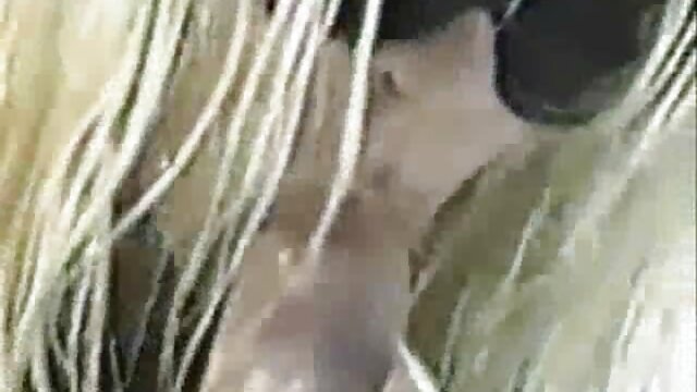 PervCity Gia và Sea Oral xxx net hay Threesome