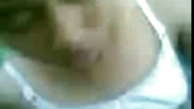 Một con mèo con màu đỏ với một con báo sư tử sex vl xxx ngọt ngào. AR & KI